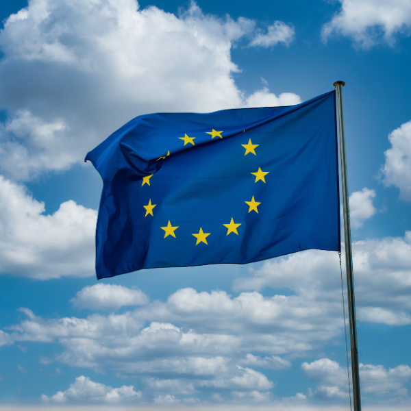 European Union Flag